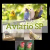 aviario_sp