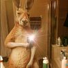 andruss_1_3