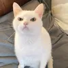 whiizzkkiid
