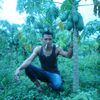 miko.saputra274