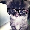 amelianaire_fs
