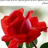 user3834078388254