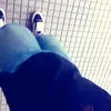 trueno_ja