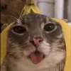mrbananamxm