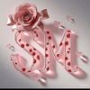 rovna.moustafa