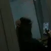 ha_medusa