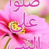 user53113625652630