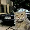nicolas.cavalcant75