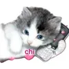 chi4163