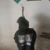 syarifahumayroh
