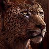 muhannadfaisal94