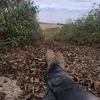 mnica.soares849
