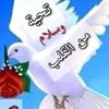 khalid.mukhtar5