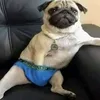 sextukuda4