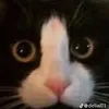 mike_6759