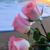 ssame27