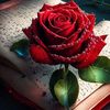 user7376002882728