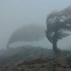 thewind963