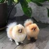 maria.lily84