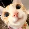 yamilethnog