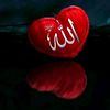 user4680105654254