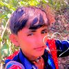 prakash.raj.034046