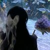 hanara_102