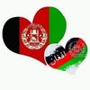 faizdalili817gmail.com