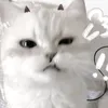 tiktok_.douyin
