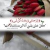 rehaam938
