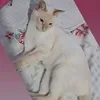 daiane.santos1273