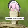 meow_o29