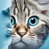 user3051557324029