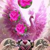 flower79351