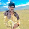 dashti_gurk11