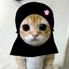 ppoyen_063
