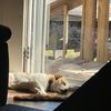 destroyerofthebed24