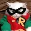 raayrqz