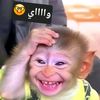 wwwuser4450125309781