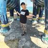 user92484665721982