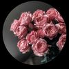 عاشقة القهوه 🌹☕️