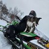 morten_288
