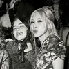 iloverosepark7_