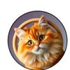 Catbilluai
