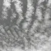 mdra_234