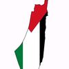 kamel2385