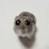 ariyashkai