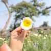 .zoii_k