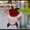 user97937409504025