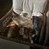 sofa.pikyl